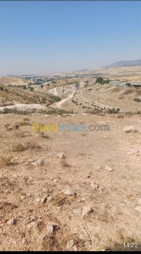 Vente Terrain Constantine Ain smara