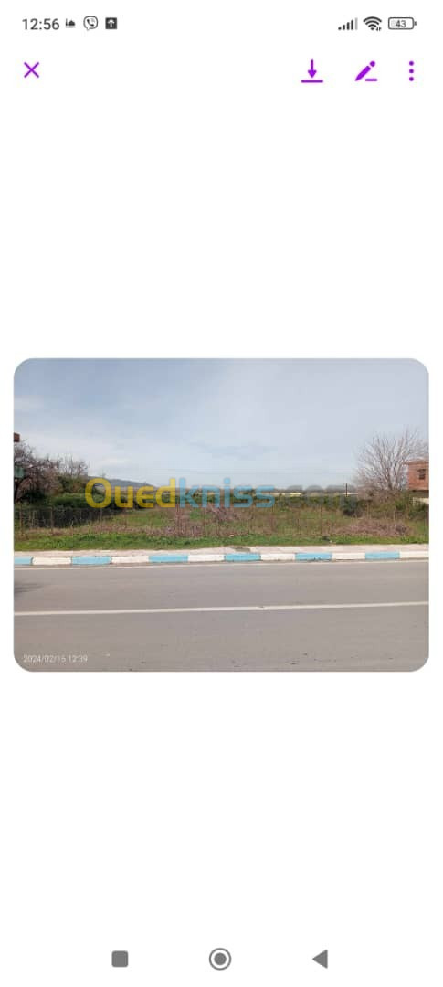 Vente Terrain Jijel Kemir oued adjoul