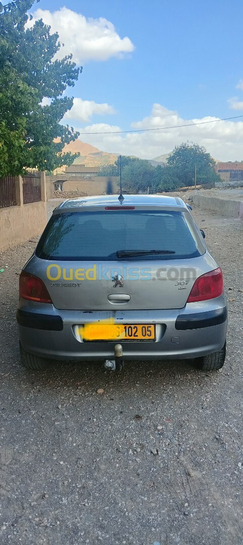 Peugeot 307 2002 307