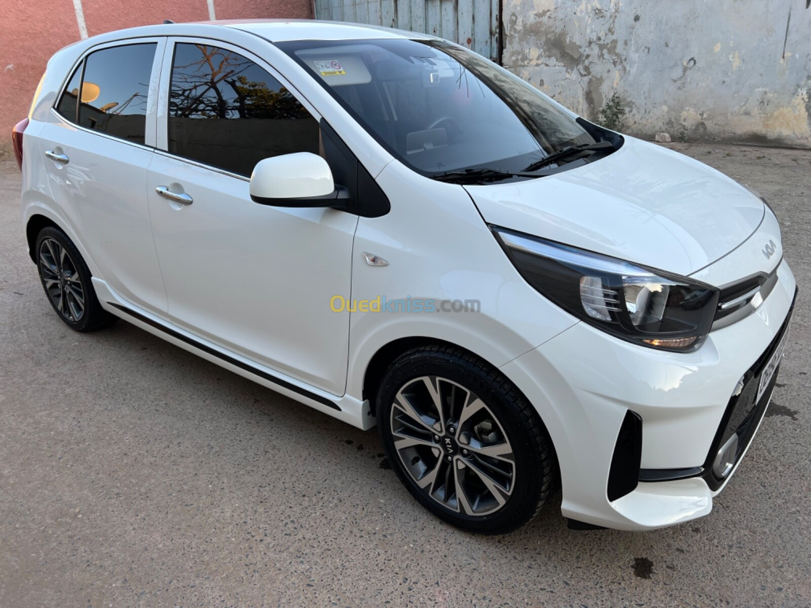 Kia Picanto 2023 Morning