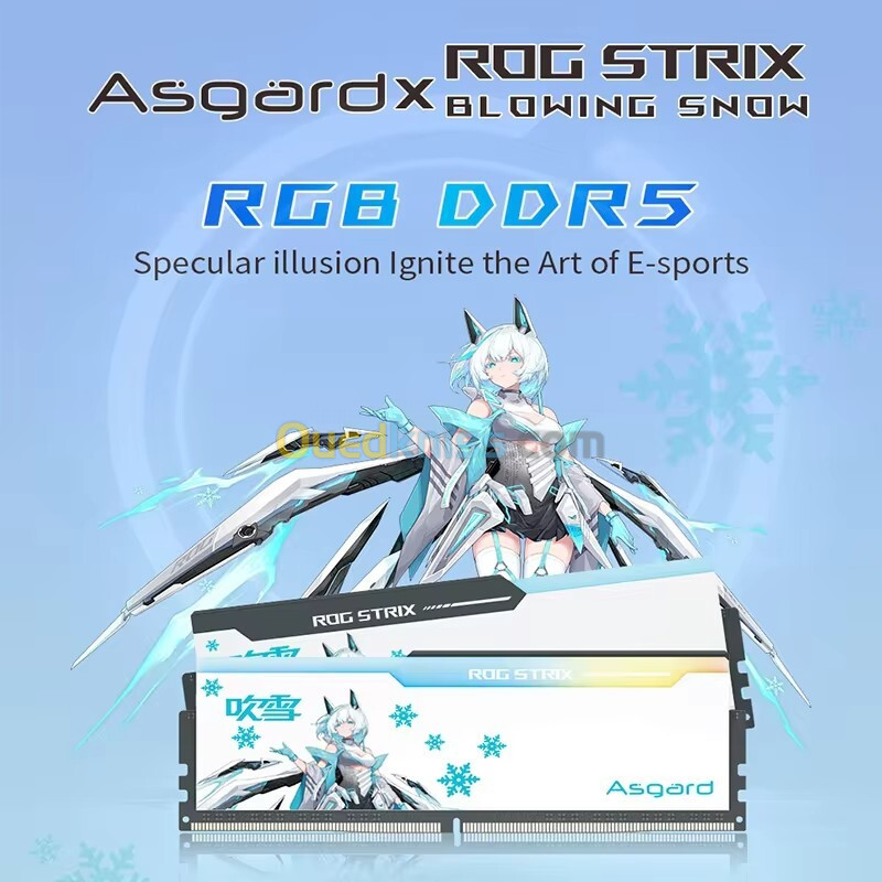 Asgard 32GB 16GBx2 DDR5 6000MHZ 6400MHZ RGB Memory Strip ROG STRIX 