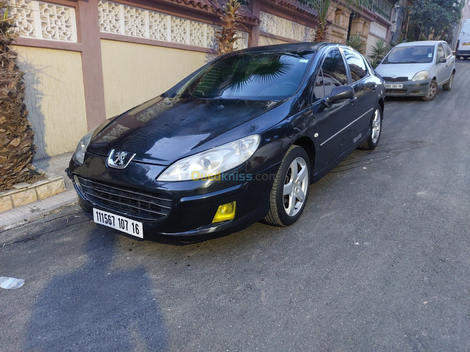 Peugeot 407 2007 407