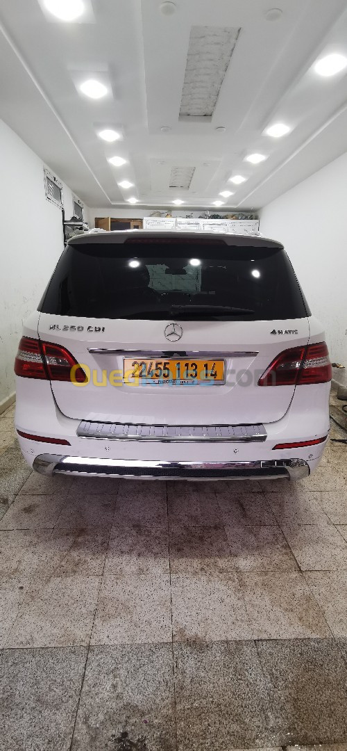 Mercedes ML 2013 250 CDI Pack AMG