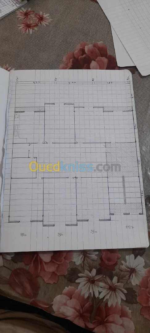 Vente Terrain Boumerdès Hammedi