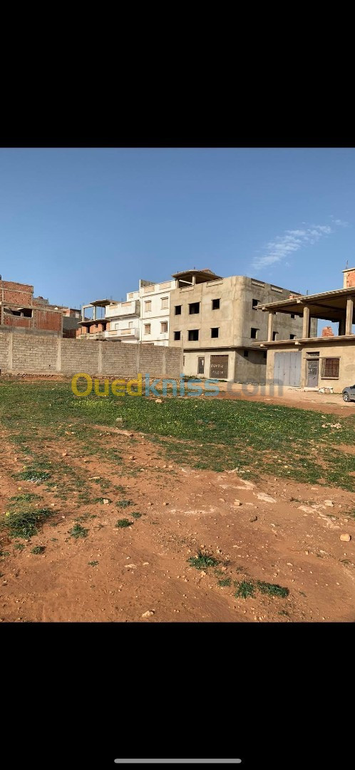 Vente Terrain Mostaganem Sayada