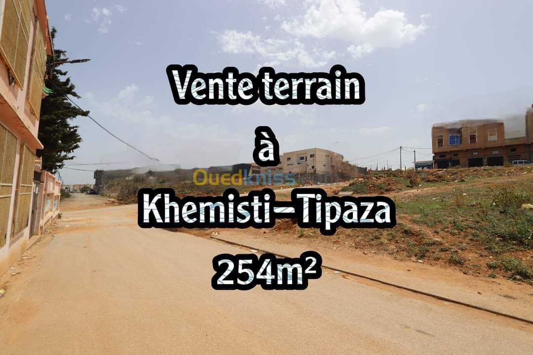 Vente Terrain Tipaza Khemisti