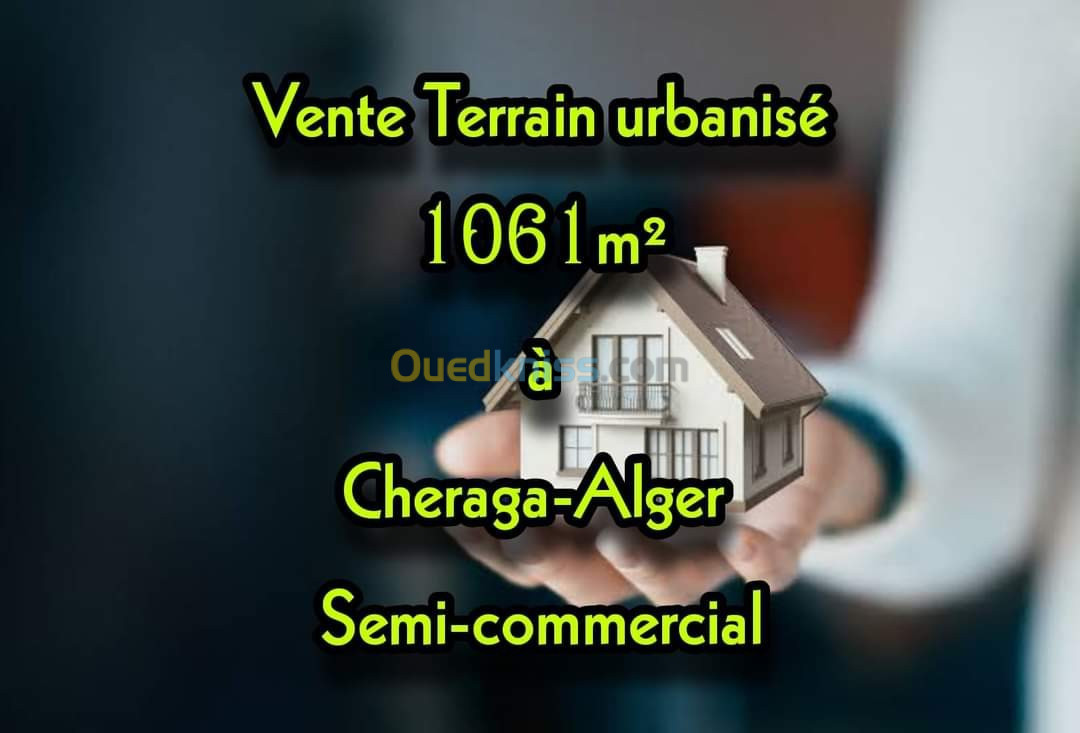 Vente Terrain Alger Cheraga