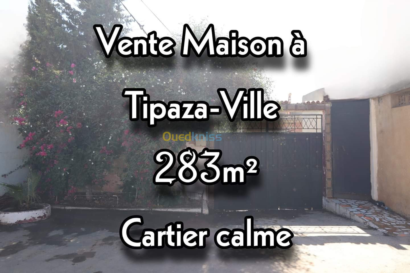 Vente Villa Tipaza Tipaza