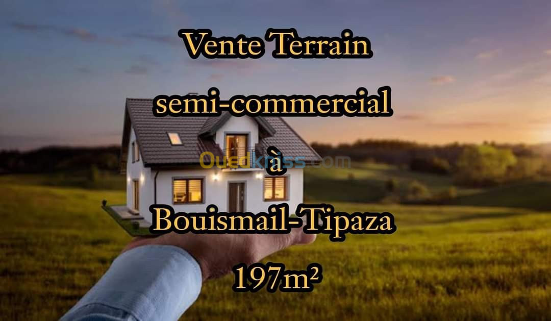 Vente Terrain Tipaza Bou ismail