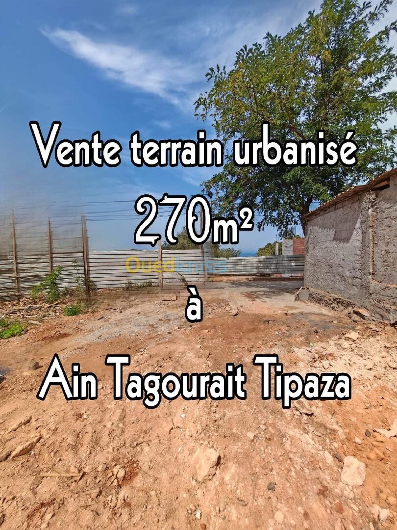 Vente Terrain Tipaza Ain tagourait