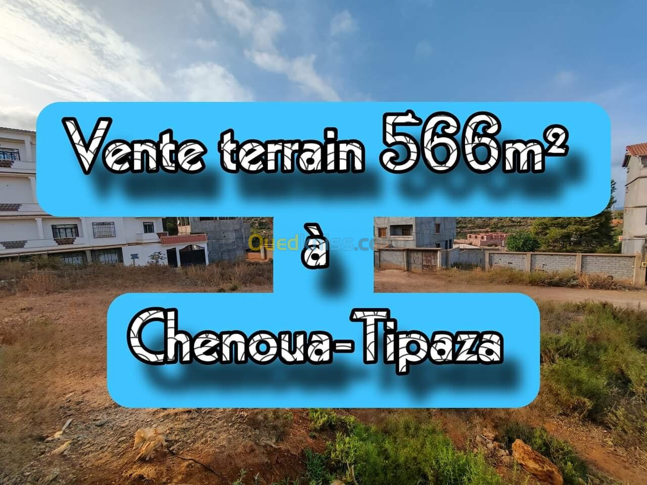 Vente Terrain Tipaza Tipaza