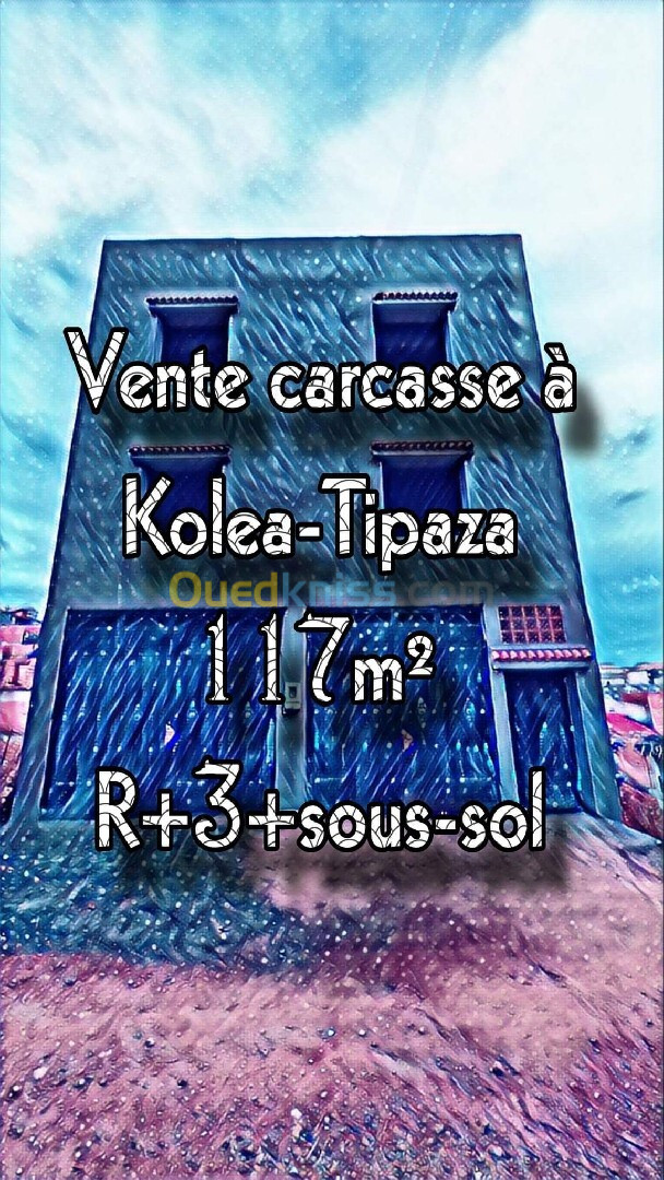 Vente Carcasse Tipaza Kolea