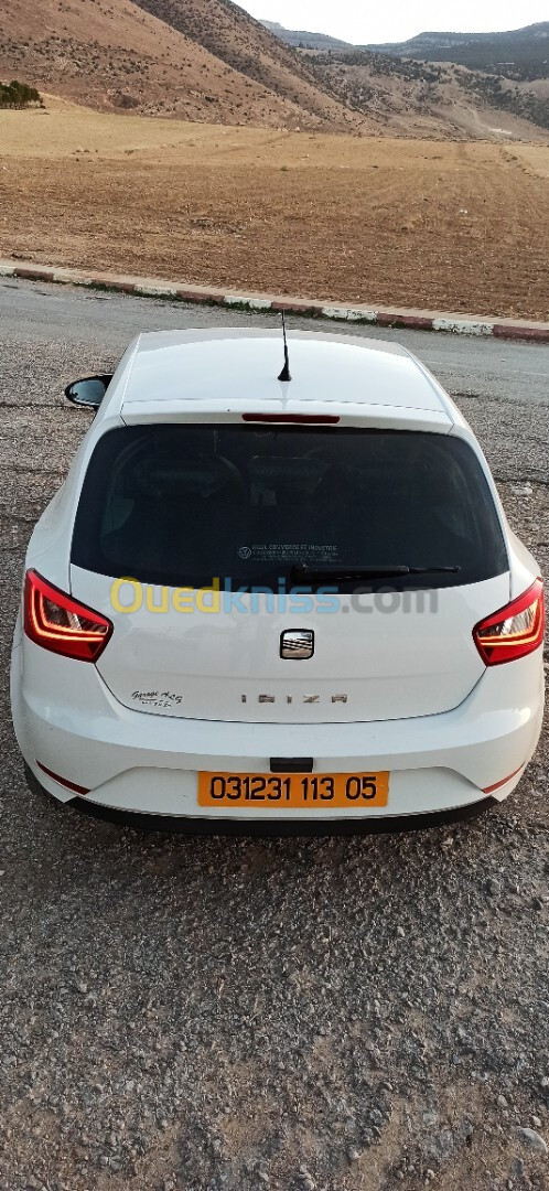 Seat Ibiza 2013 Fully