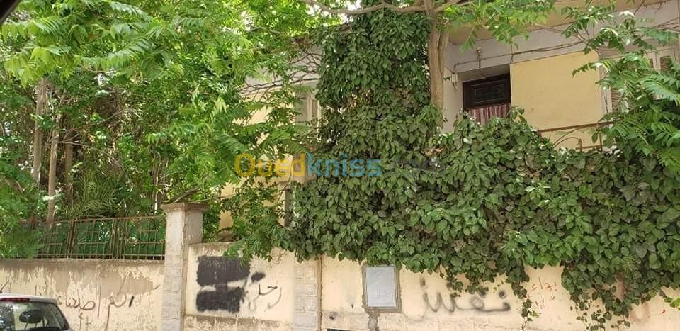 Vente Villa Sétif Setif