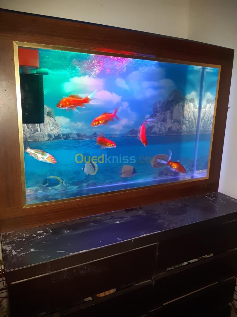 Aquarium plasma 80cm avec Poissons et accessoires complet 