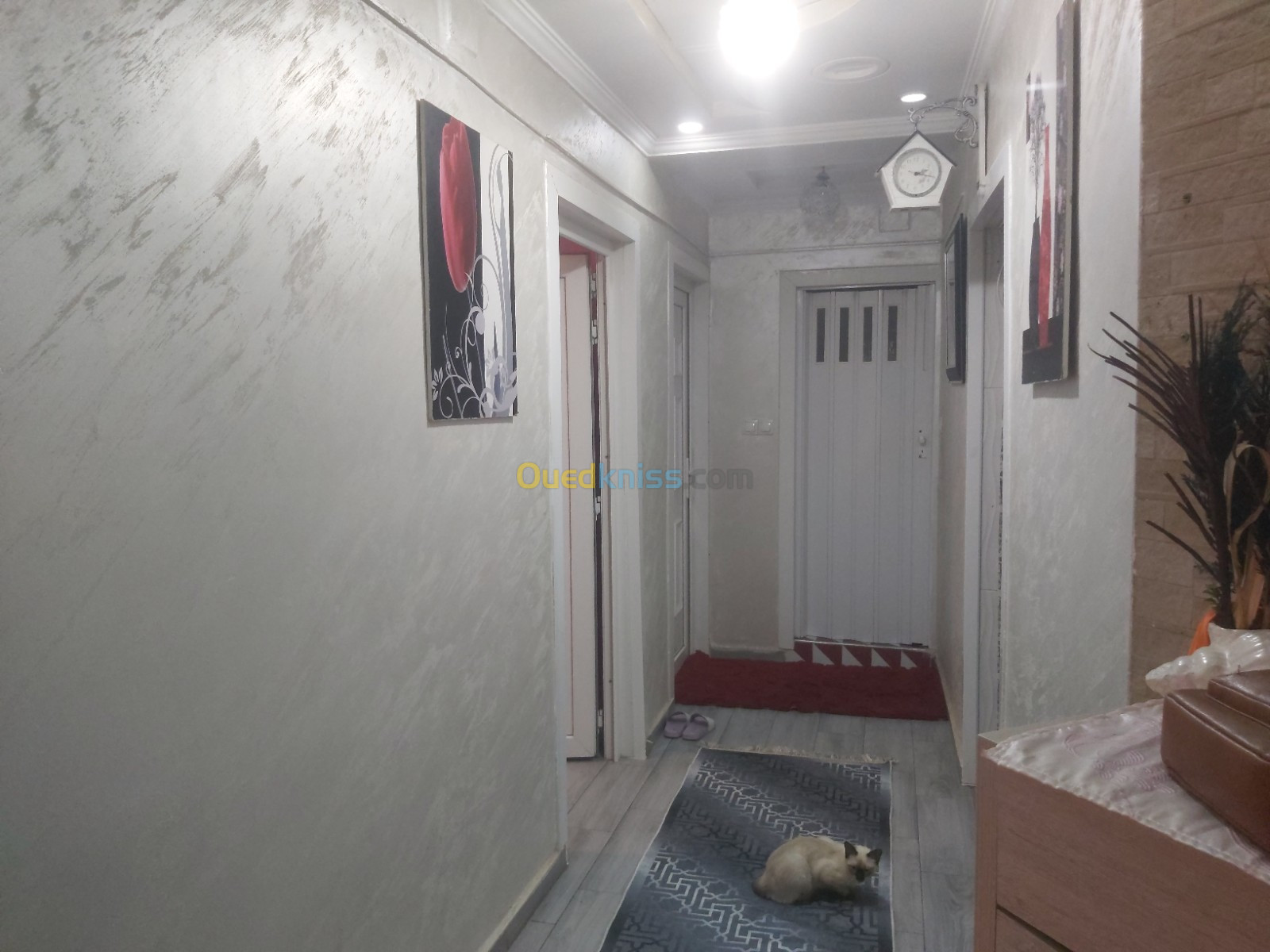 Vente Appartement F3 Aïn Defla El attaf