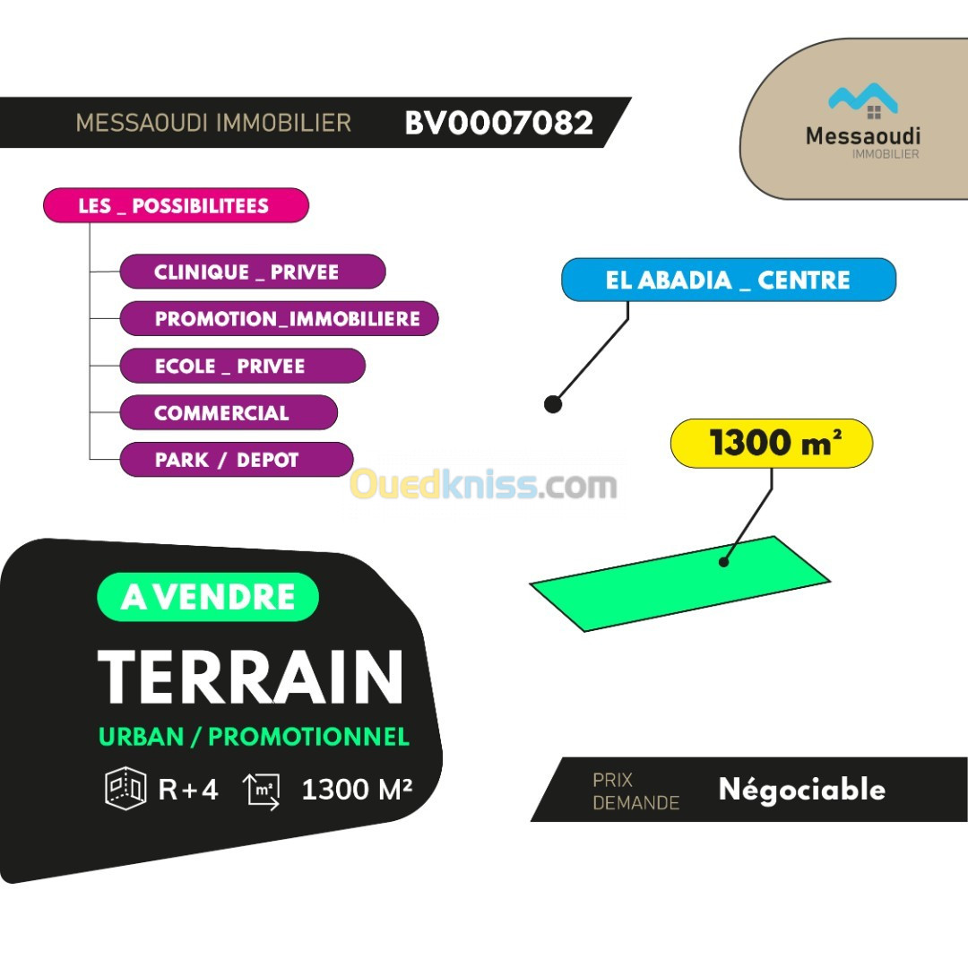 Vente Terrain Aïn Defla El abadia