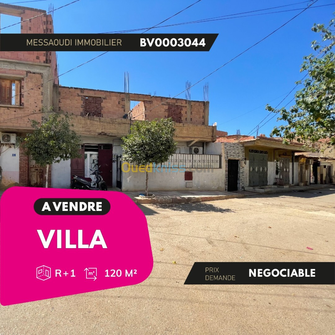 Vente Villa Aïn Defla Rouina