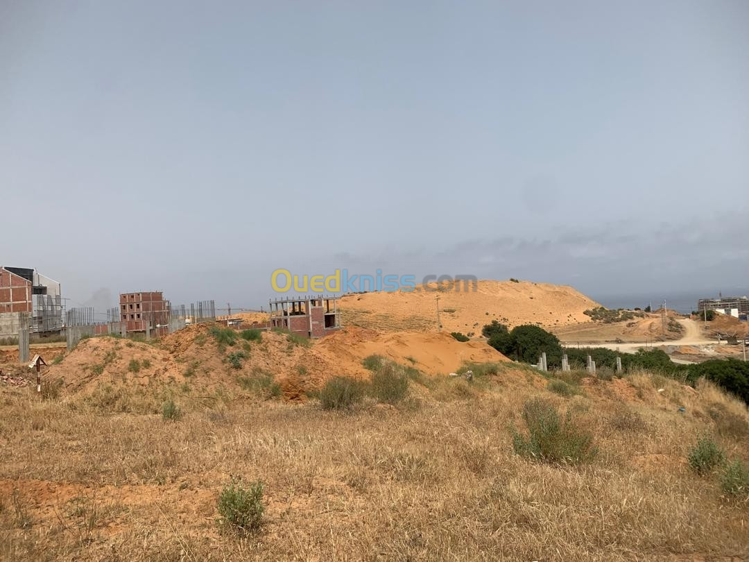 Vente Terrain Skikda Filfla