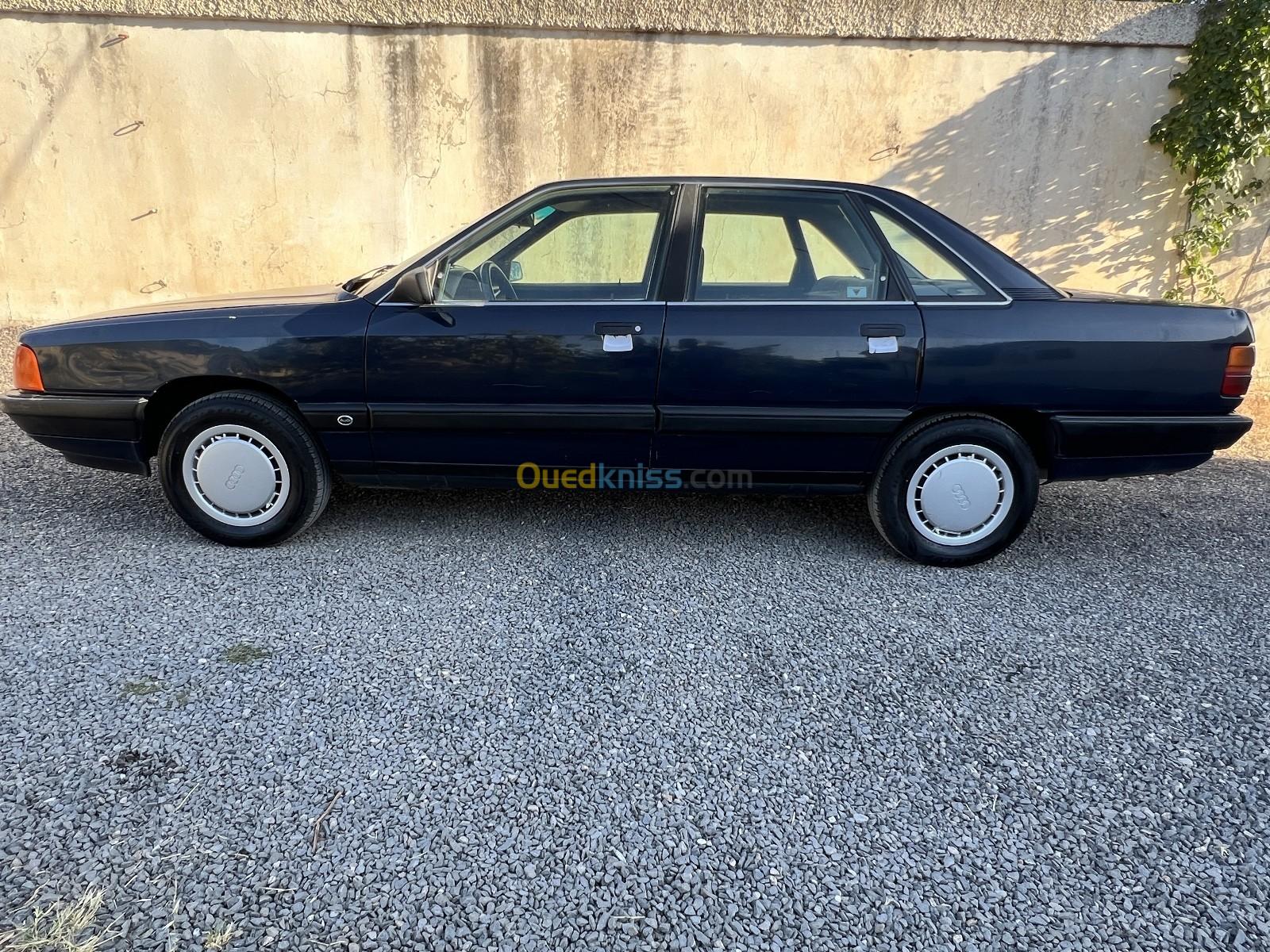 Audi 100 1988 100