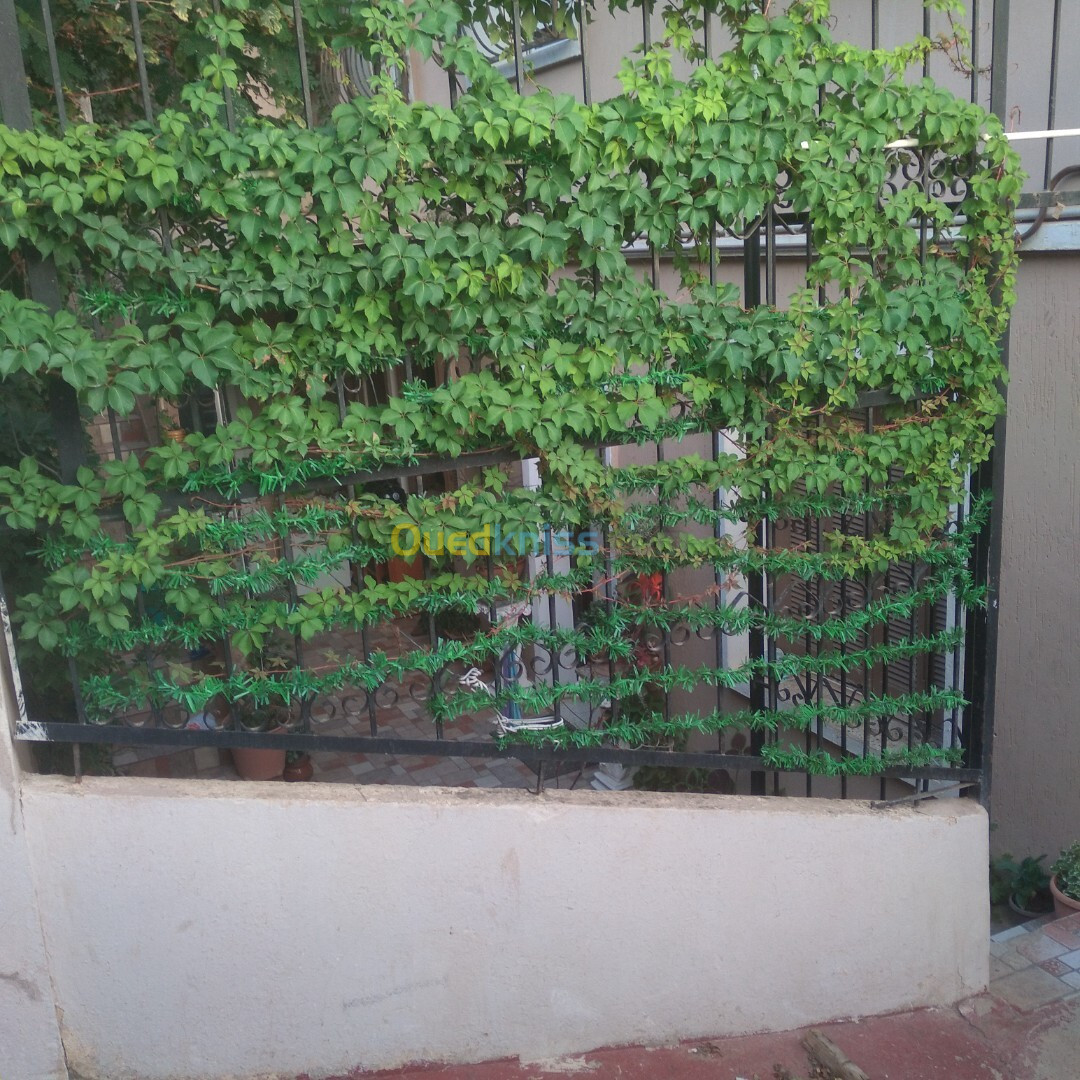 Vente Niveau De Villa F5 Alger Kouba