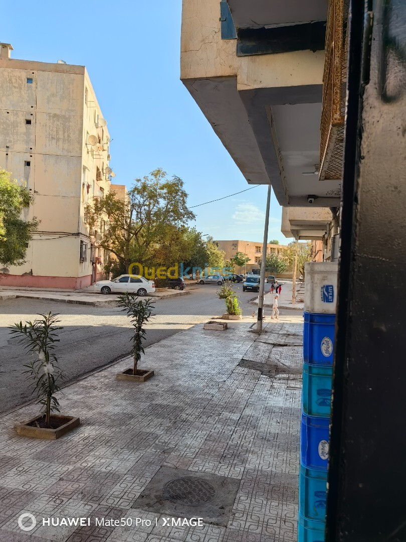 Vente Local Sidi Bel Abbès Sidi bel abbes