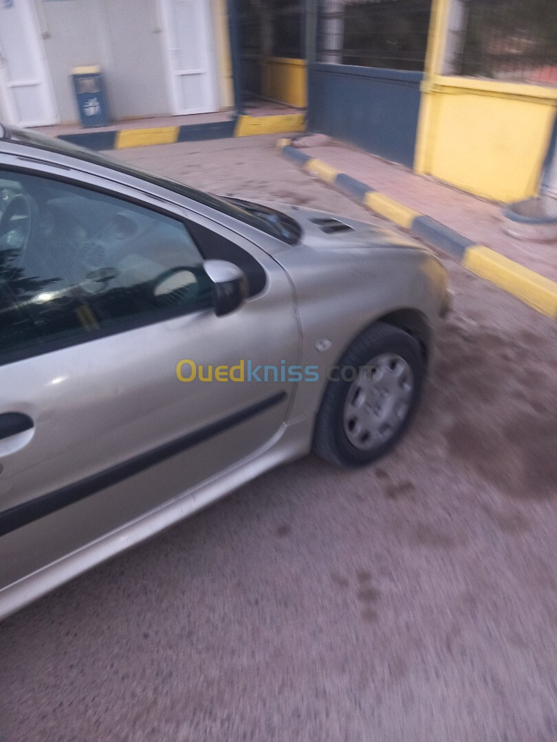 Peugeot 206 2004 206