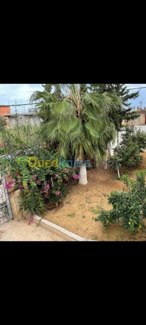 Vente Villa Tipaza Cherchell