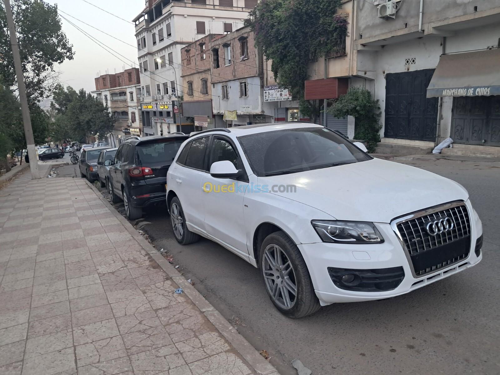 Audi Q5 2010 S line