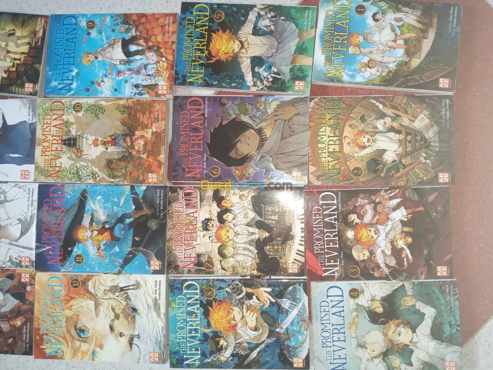 The promised neverland en français 