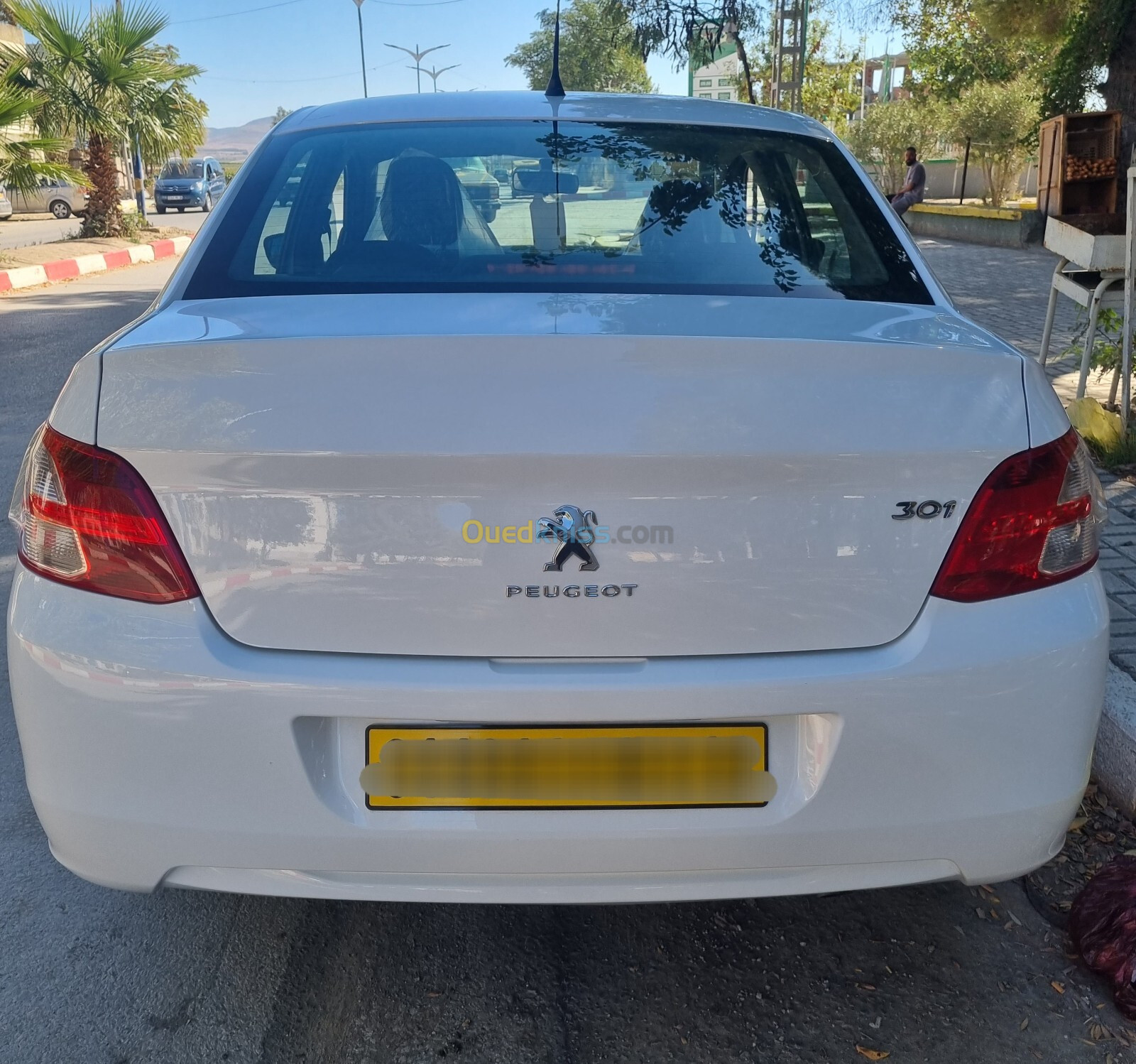 Peugeot 301 2013 301