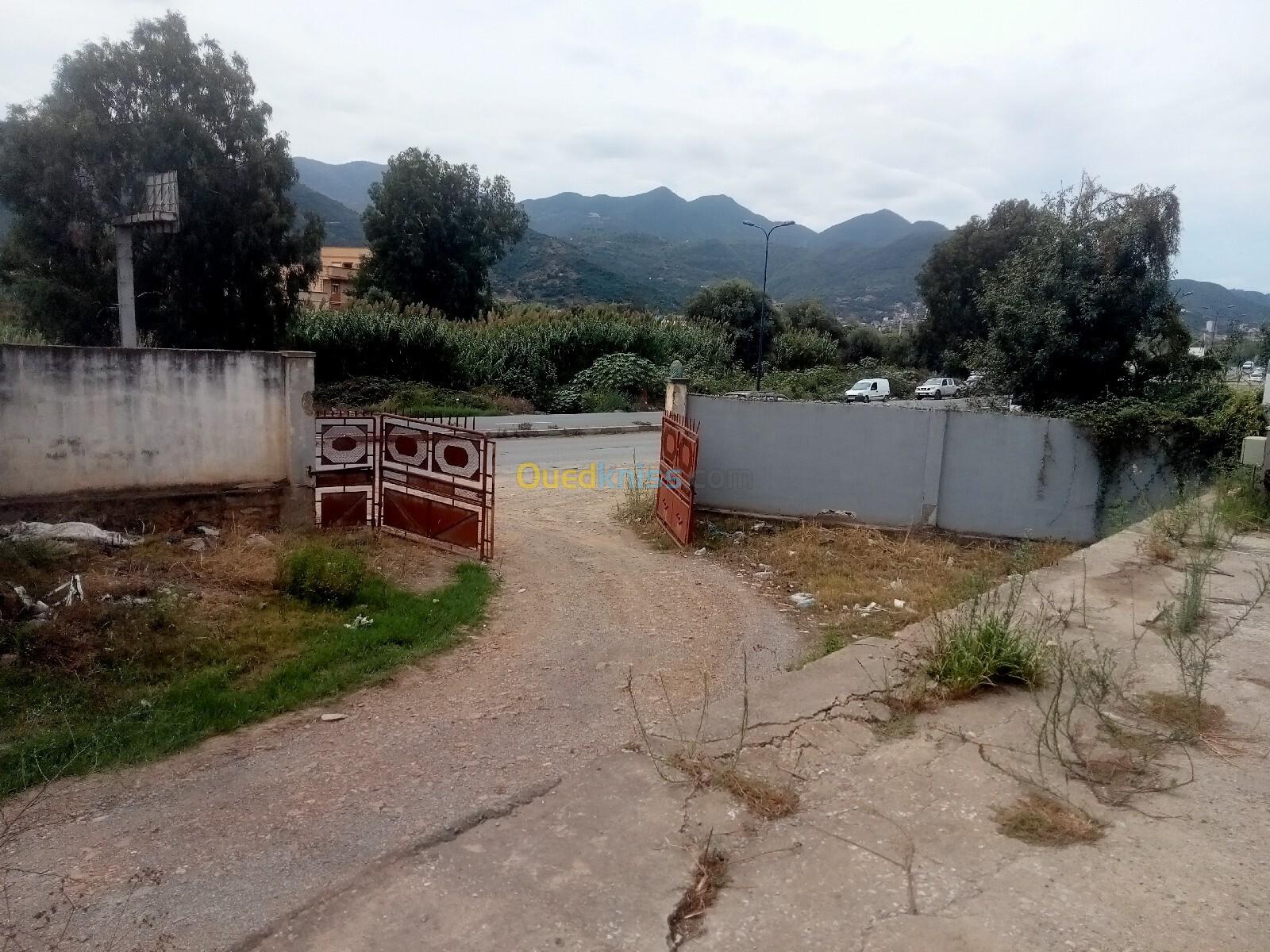 Location Hangar Béjaïa Oued ghir