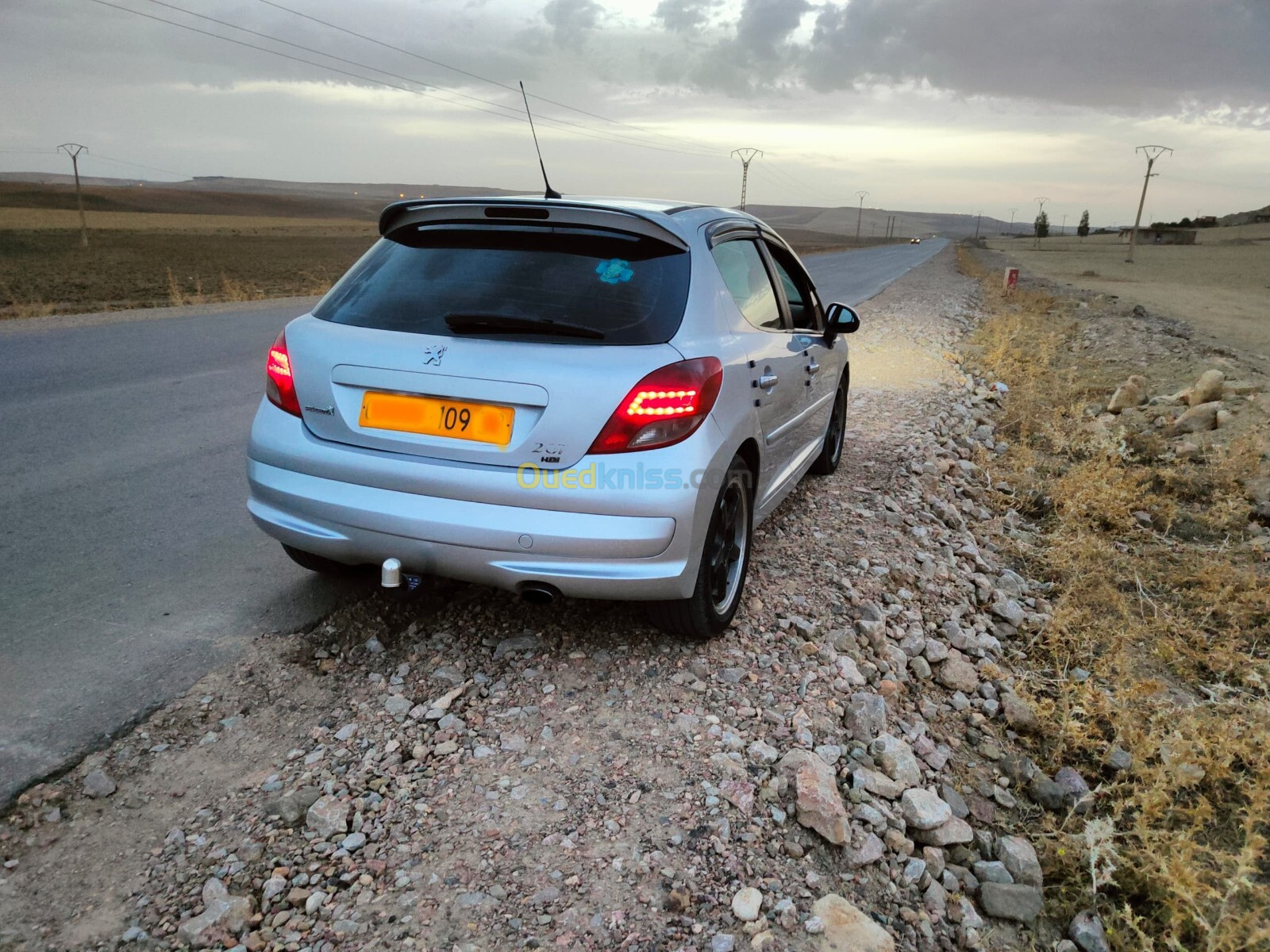 Peugeot 207 2009 207