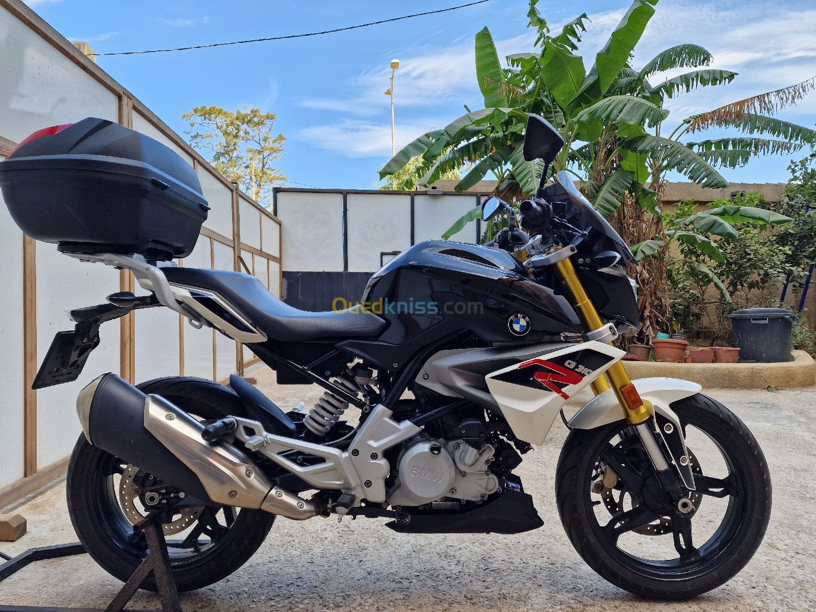 BMW Bmw G310R 2019