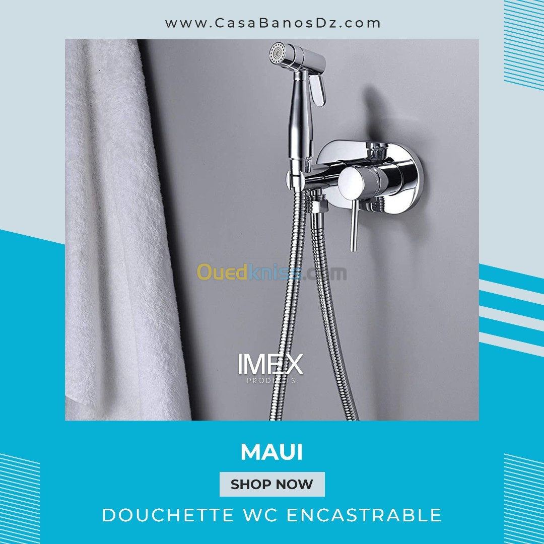 Mitigeur Douchette WC À Encastrer MAUI IMEX - Alger Algérie