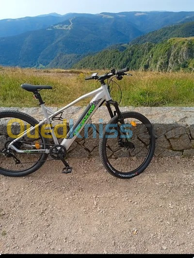 Vélo électrique Adulte E-Summit 700 NAKAMURA