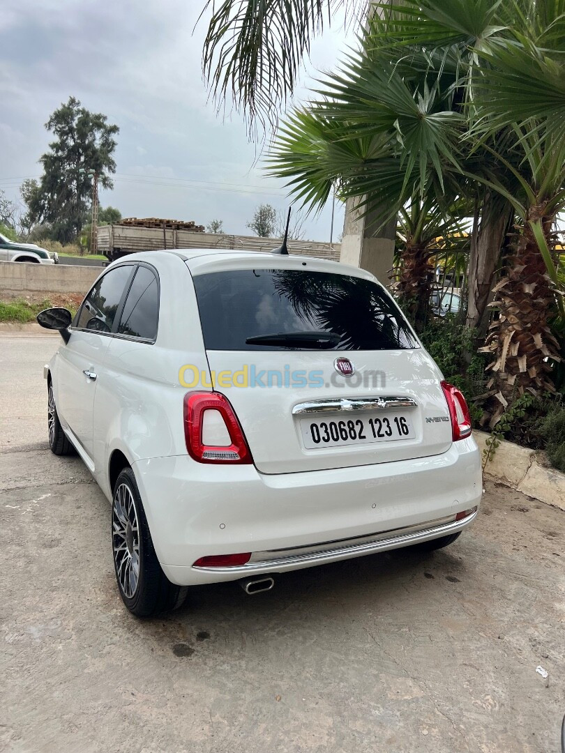 Fiat Fiat 500 2023 Dolcevita plus