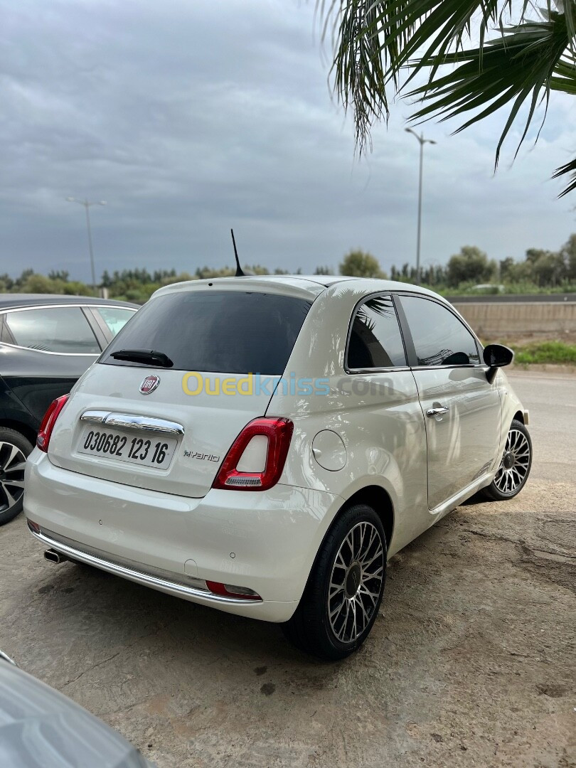 Fiat Fiat 500 2023 Dolcevita plus