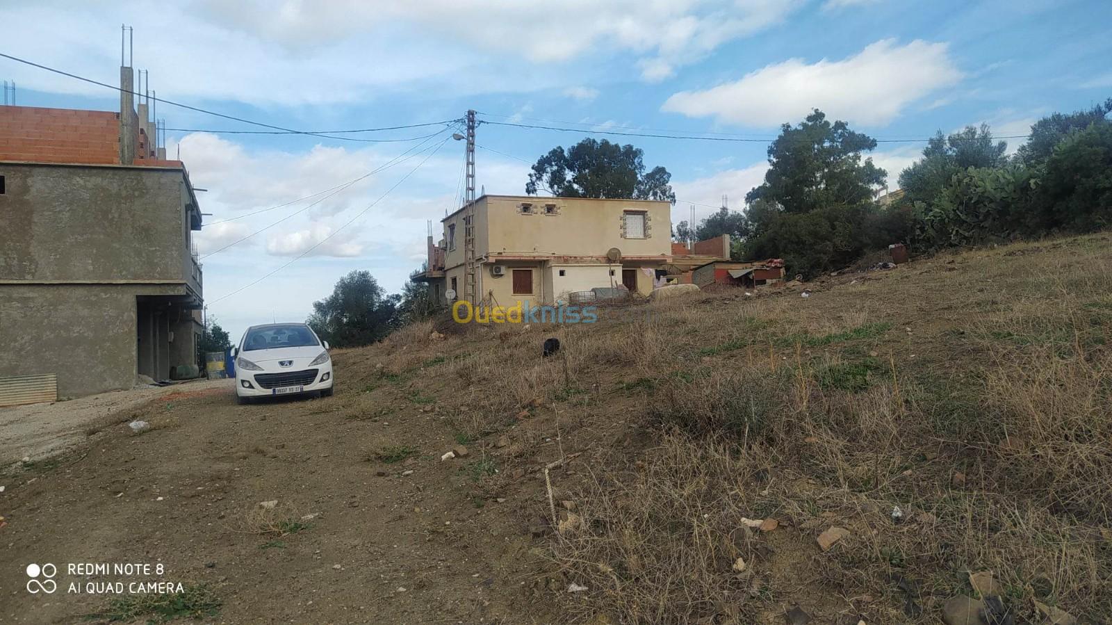 Vente Terrain Boumerdès Larbatache