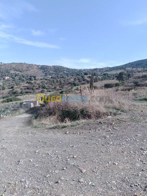 Vente Terrain Blida Djebara