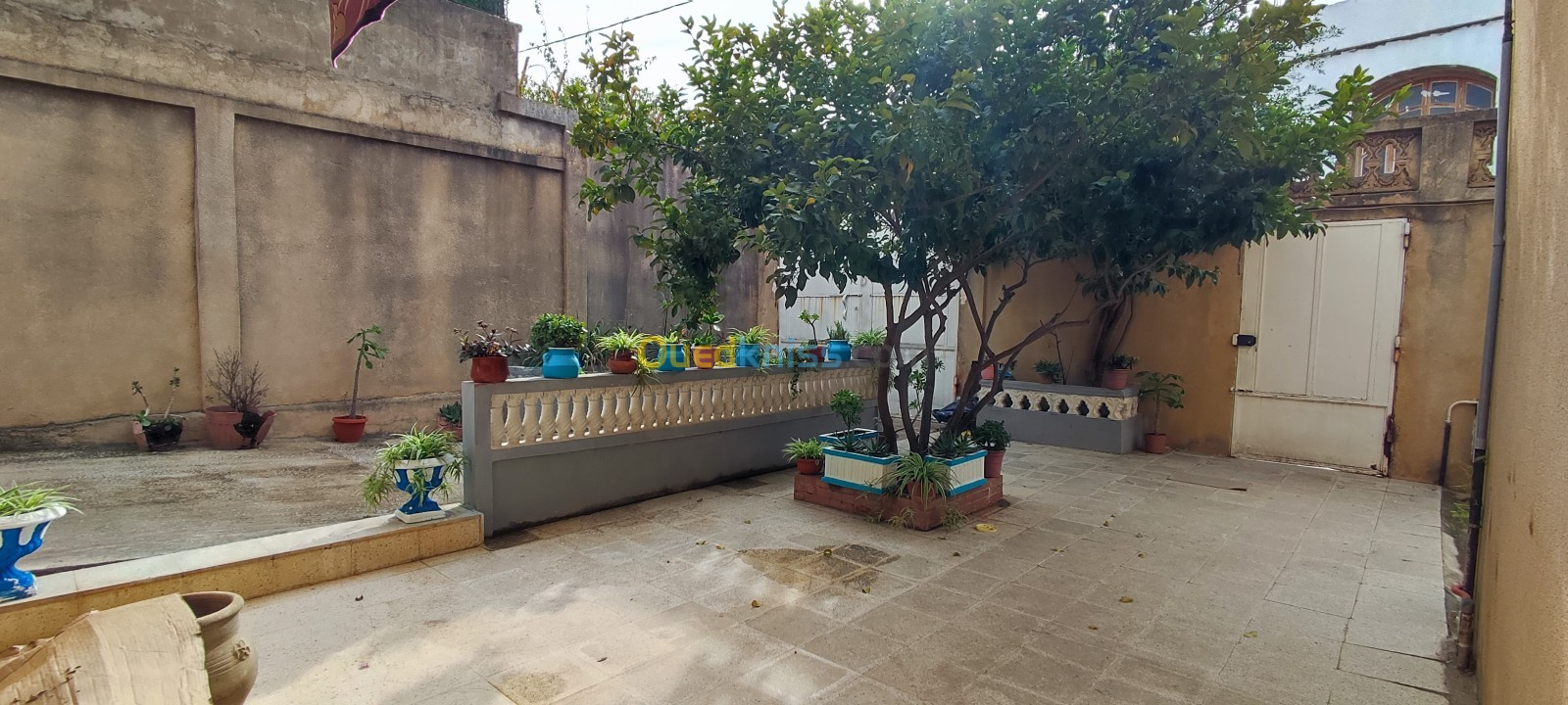 Vente Villa Annaba El bouni