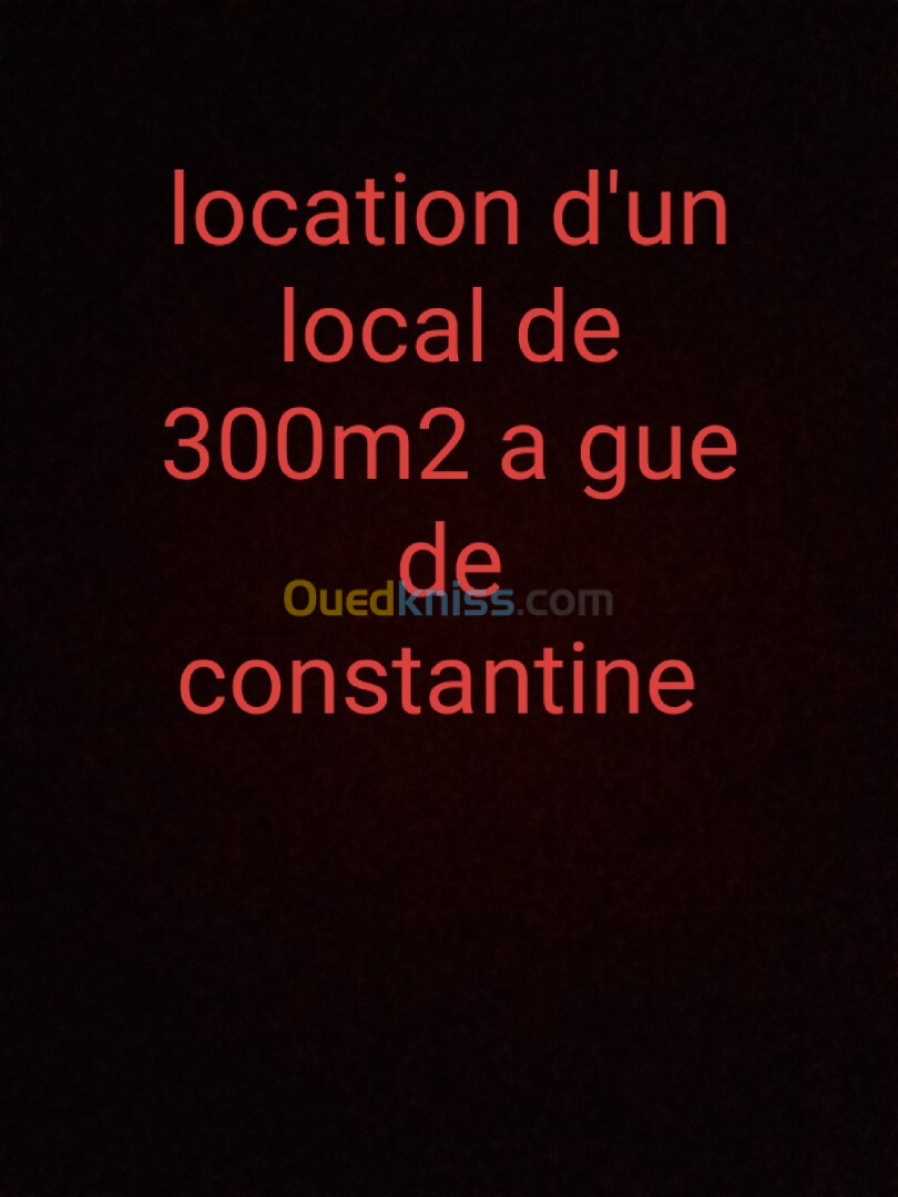 Location Local Alger Gue de constantine