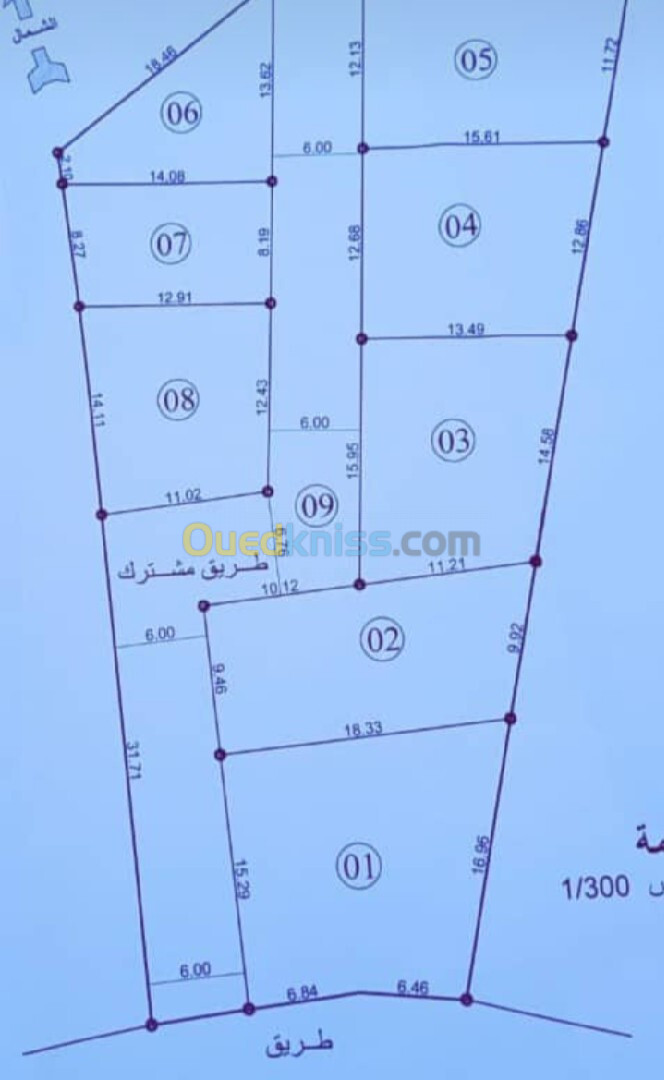 Vente Terrain Alger Cheraga