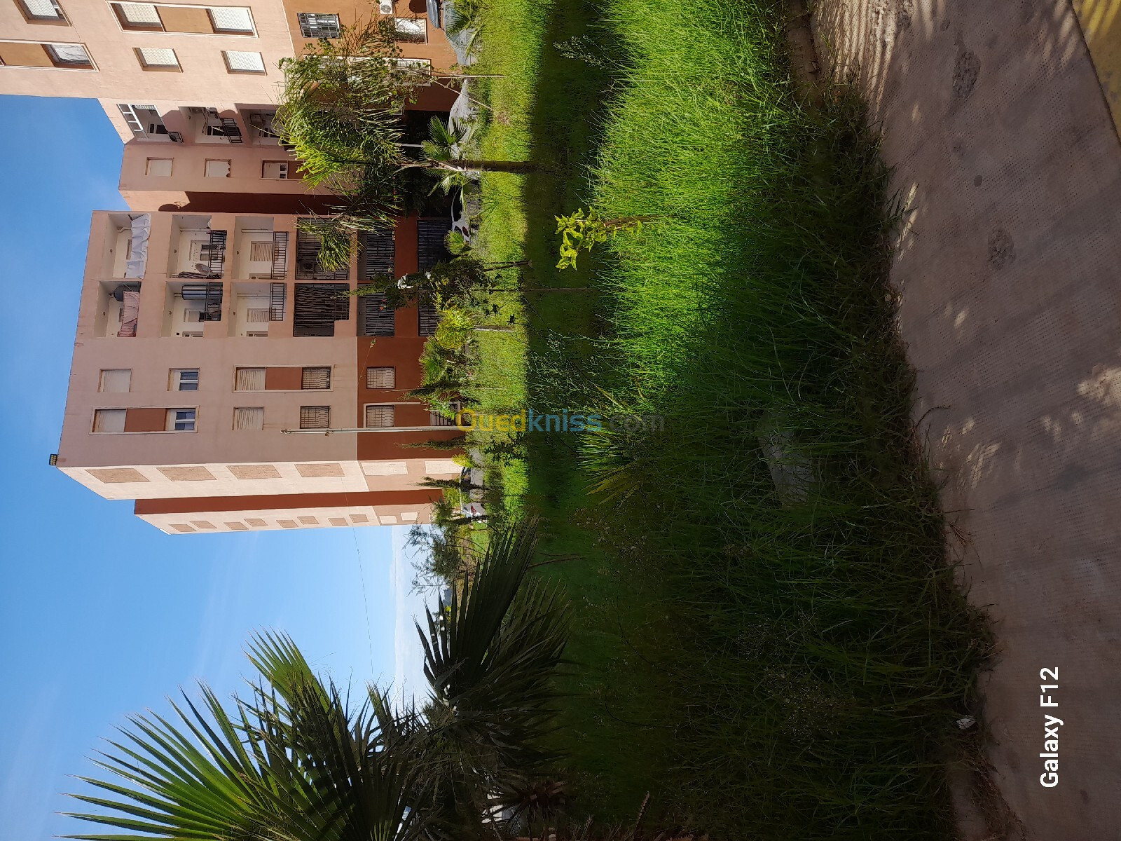 Location Appartement F4 Alger Reghaia