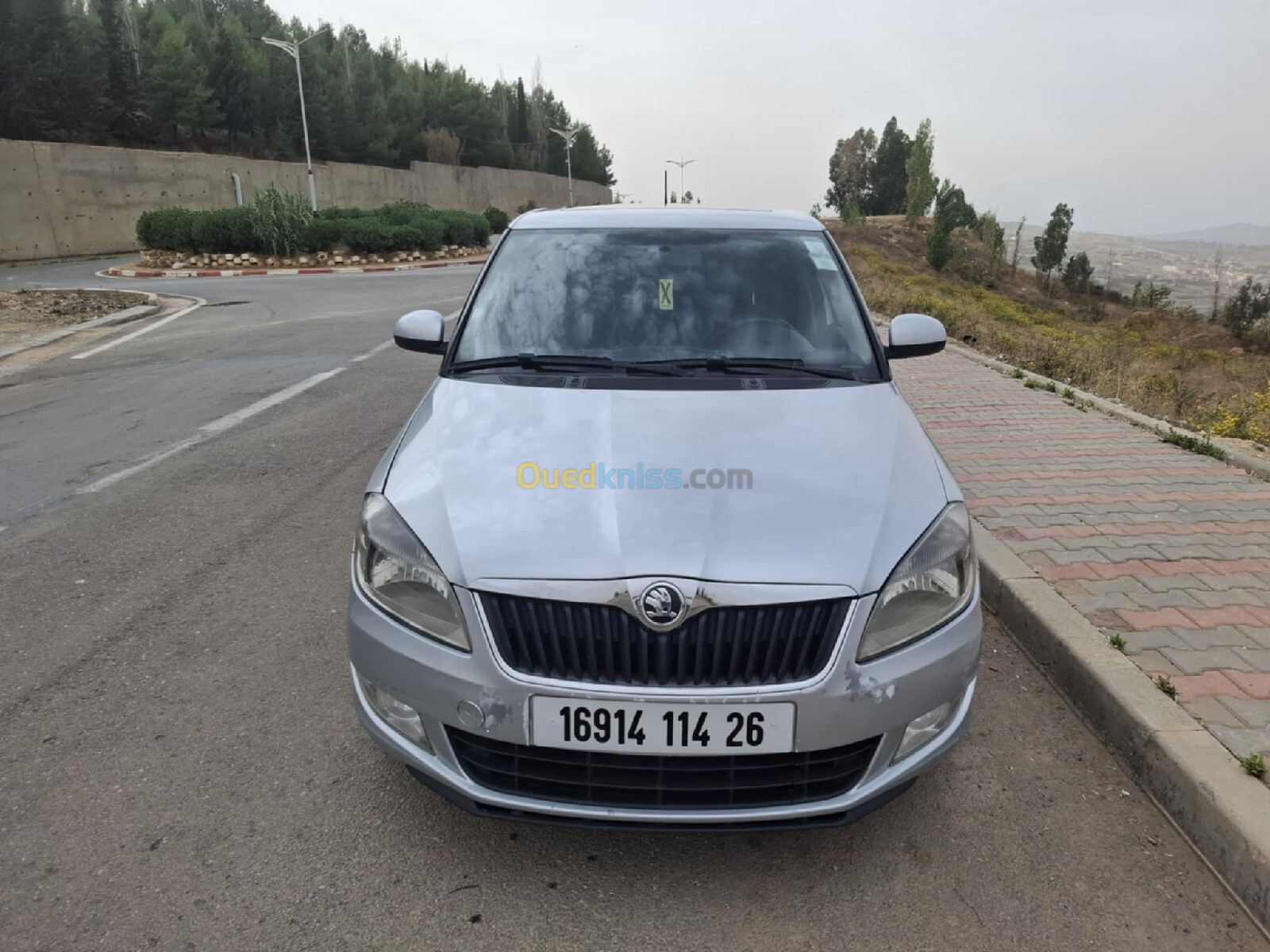 Skoda Fabia 2014 Fresh