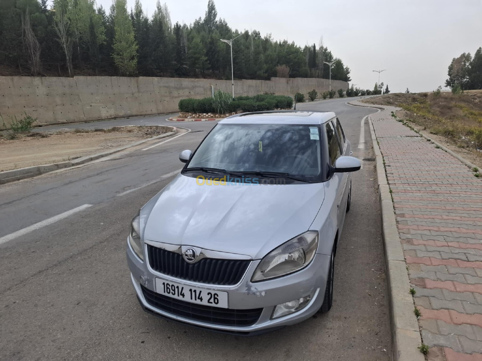 Skoda Fabia 2014 Fresh