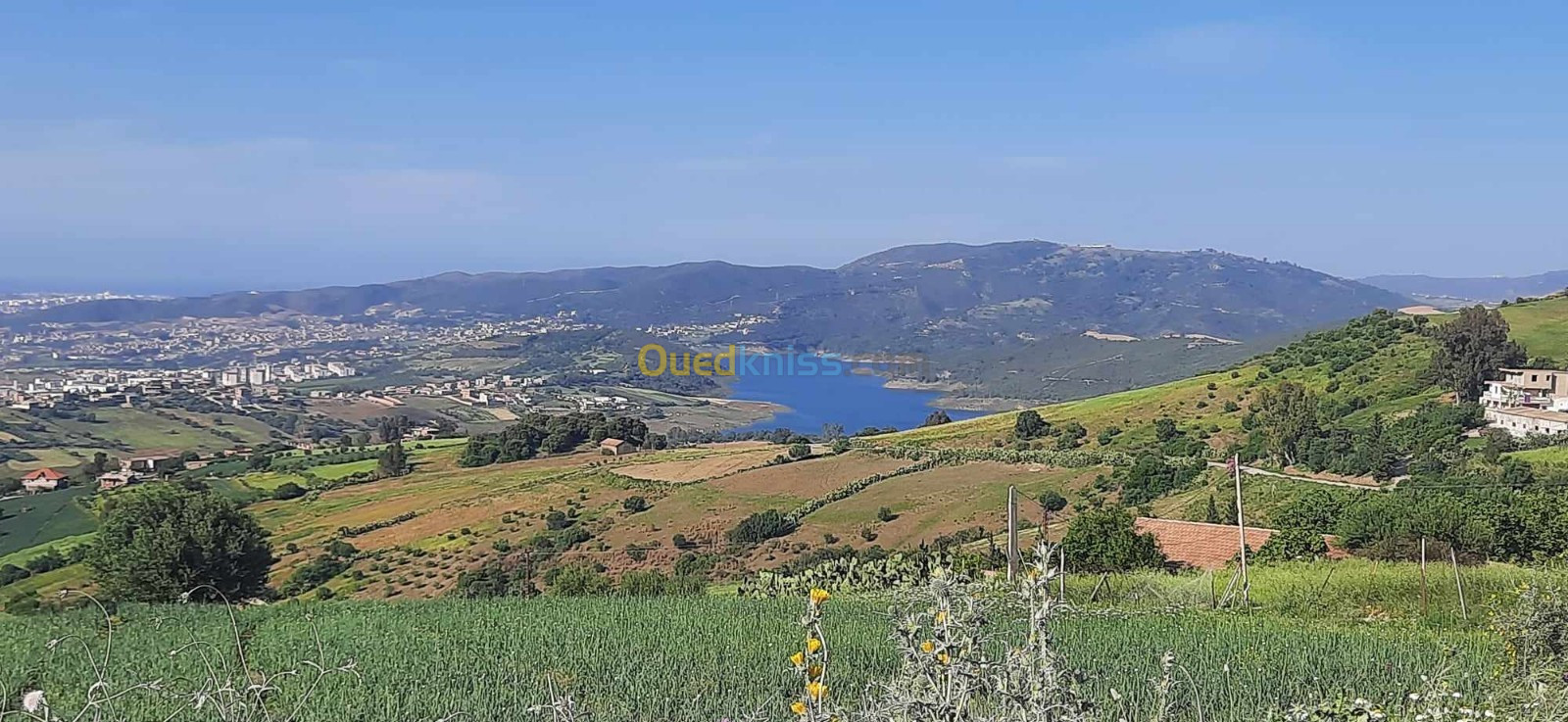 Vente Terrain Boumerdès El kharrouba