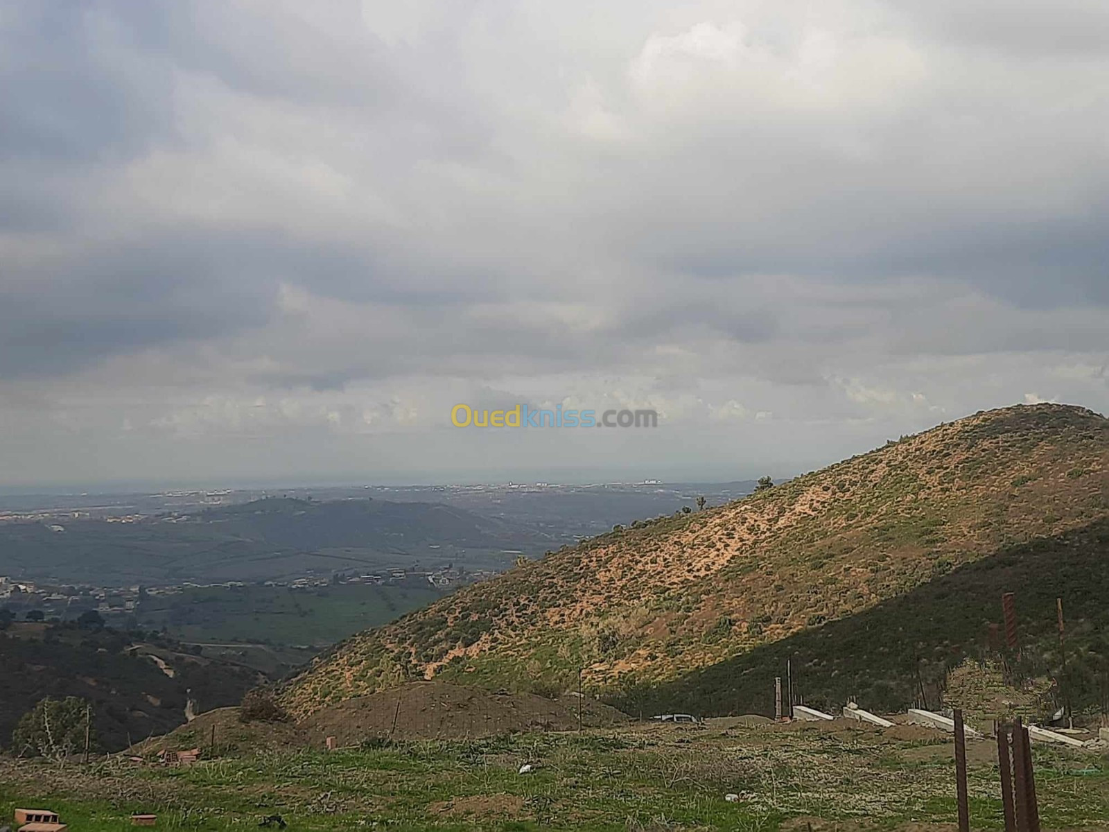 Vente Terrain Boumerdès El kharrouba