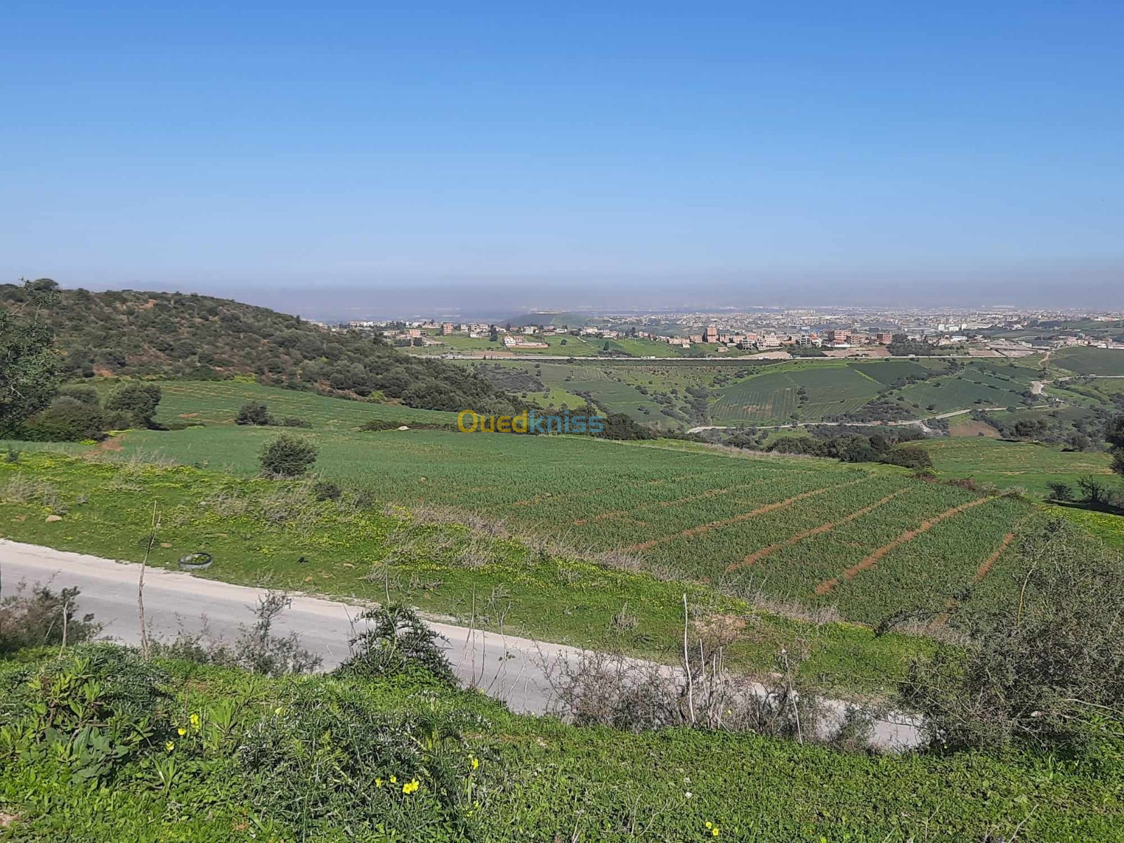 Vente Terrain Boumerdès El kharrouba