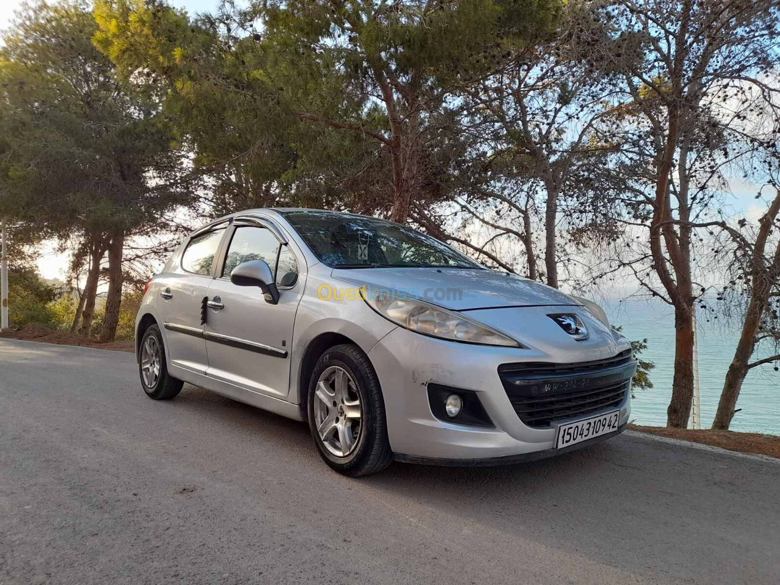 Peugeot 207 2009 Premium